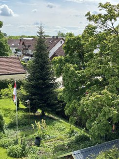 Blick vom Balkon